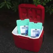 2: Reusable Freezer Ice Packs Blocks for Lunch Box, Coolers, Picnic, Food Drinks