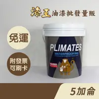 在飛比找蝦皮購物優惠-【漆王】金絲猴P-255單液型彈泥 水泥色＜5加侖裝＞