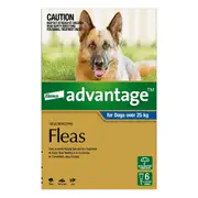 Advantage For Extra Large Dogs Over 25Kg (Blue) 6 Pack