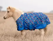 Professional's Choice 1200D Mini & Pony Rain Sheet, "Raining Cats & Dogs" PL14RE