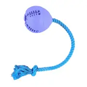 "Waggly ""Throw, Fetch, Repeat!"" Tug Ball Dog Toy"