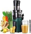 Electric Juicer Fruits Cold Press Squeezer Vegetable Processor Slow Masticati...