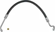 Sunsong 3401900 Power Steering Pressure Line Hose Assembly