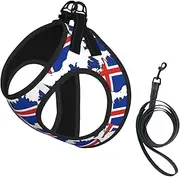 Iceland Flag Map print Dog Harness and Leash Set, Reflective Adjustable Puppy Vest for Small Medium Large Dogs, Cats