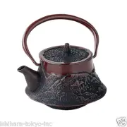 Nanbu Tetsubin - Mt.Fuji Landscape - 0.3 Liter - Japanese cast iron teapot w net