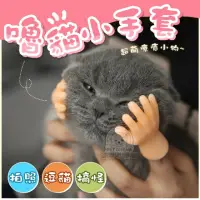 在飛比找momo購物網優惠-【寵物夢工廠】貓療癒小手套2對入(擼貓神器 小手手 療癒 逗