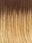 HIGH OCTANE WIG NEW! RAQUEL WELCH-RL14/22SShadedWheat-TTemLaceFrtMonoTpMemCap3HF