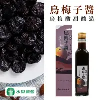 在飛比找momo購物網優惠-【水里農會】梅精烏梅子醬250mlX1瓶