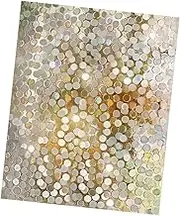GLEAVI 1 Roll Dot Pattern Static Cling Window Film Glass Privacy Covering for Bathroom Doors Removable and Reusable Easy Installation