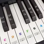 Removable Colorful Piano Keyboard Stickers for 37 to 88 Keys - Beginner Friendly