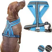 [Zenify Pets] Dog Harness - Chest Vest Cross Adjustable Reflective for Medium Dogs (Blue, Medium)…