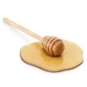 Display Fake Food Prop Spilled Honey Dipper New