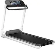 Treadmill for Home, Folding Treadmill with Automatic Incline, 300 lbs Weight Capacity, Electric Motorized Walking Running Treadmill with Bluetooth Speakers, Large Screen