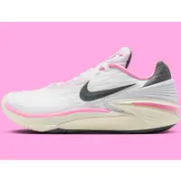 在飛比找蝦皮購物優惠-ISNEAKERS Nike Air Zoom G.T. C