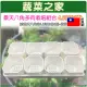 【蔬菜之家】景天八角多肉栽培組合4.5吋5號(含景天八角盆4.5吋白色8個+育苗盤白色*1個)