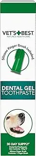Vet's Best Dental Gel Toothpaste, 100g