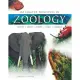 Kingdom Animalia Taxonomic Wall Chart