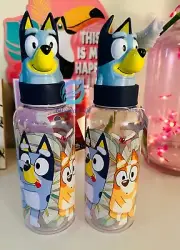 Bluey water bottle set of 2
