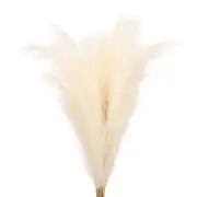 37.8in Pampas Grass Decor, 7 Pcs Artificial Pampas Grass Bulk, Beige