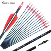 Archery Carbon Arrows 28" 30" 31" Spine 500 Compound Recurve Bow Longbow Hunting