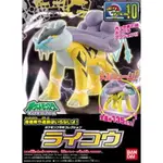 【鋼普拉】現貨 BANDAI POKéMON PLAMO 收藏集 10 雷公 雷虎 神奇寶貝 精靈寶可夢 口袋怪獸