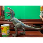 恐龍 小藍 玩具 恐龍 侏羅紀