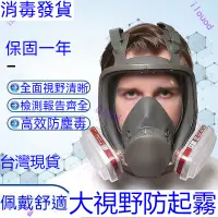 在飛比找蝦皮購物優惠-台灣發貨  全罩式防毒面具防毒面具噴漆全面罩 化工甲醛防塵粉