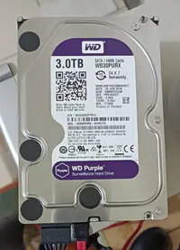 在飛比找Yahoo!奇摩拍賣優惠-Western Digital WD 硬碟 HDD 3TB 