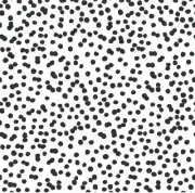 RoomMates Peel Stick Wallpaper Black Confetti Whimsical Statement Accent Wall