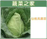 在飛比找露天拍賣優惠-【蔬菜之家】B09.仙桃高麗菜種子//日本進口仙桃甘藍,四季