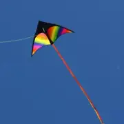 Rainbow Delta Kite Fly Kite with Tail with String for Beach Activities