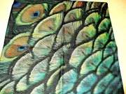Square Cotton Canvas Peacock Feathers Pillow Cover 16.5" x 16.5" NEW (#100)