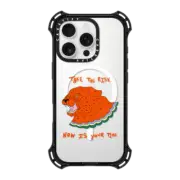 iPhone 16 Pro Bounce Case MagSafe Compatible The the risk