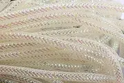YYCRAFT Deco Mesh Tubing Flex with Metallic Foil 8mm x 15 Yards-Ivory