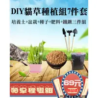 在飛比找蝦皮購物優惠-DIY貓草種植組 貓草種植 小麥草種子 貓草 小麥草 大麥草