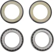 2001-2007 Aprilia EVT Caponord Motorcycle All Balls Steering Bearing Kit