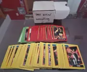 1991 WCW Impel Wrestling Card Complete Set 1-162 Sting, Rick Flair. Steiners