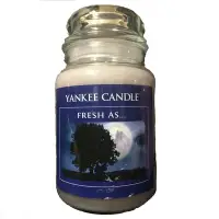 在飛比找Yahoo奇摩購物中心優惠-YANKEE CANDLE 香氛蠟燭 FRESH AS 17