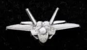 F-22 RAPTOR STEALTH FIGHTER HAT PIN US AIR FORCE AFB PILOT CREW WING "HEAD ON"