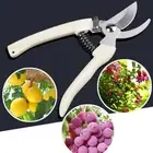 Secateurs Fruit Tree Home Pruners Bonsai Garden Shears Grafting Tool