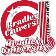 Desert Cactus Bradley University Stickers Braves BU Vinyl Decals Laptop Water Bottle Car Scrapbook Sheet (70s 4inch)