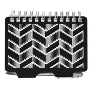 Wellspring Zigzag Password Book (2862)