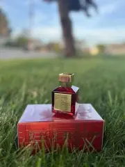 Men’s Fragrance/Cologne