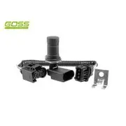 RAE Crankshaft Position Sensor - SC211
