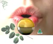 Lip Balm with Natural Moringa Oil