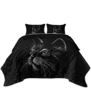 White Portrait Cat Kitten Drawing Coverlet