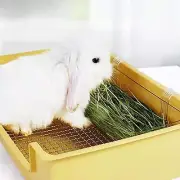Rabbit Hanging Hay Feeder Rack Hay Manger for Hamster Cage Bunny Pet Rabbits