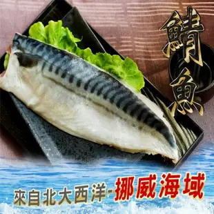 【海之醇】 挪威薄鹽鯖魚-10片組(210g±10%/片)