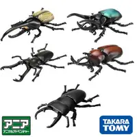 在飛比找蝦皮購物優惠-TOMY多美卡安利亞 AS 獨角仙 大兜蟲 甲蟲 動物昆蟲 
