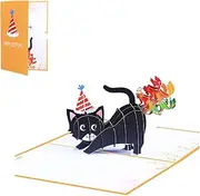 1 PCS Cat 3D Greeting Card Birthday Greeting Pop-up Greeting Card Card with Message Note and Envelope for Birthday